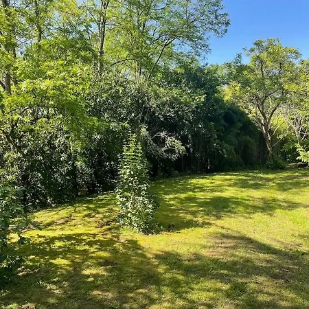 Maison Dans Un Parc Arbore